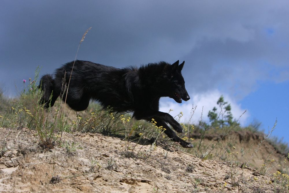 Фотография автора Надежда Лисицына