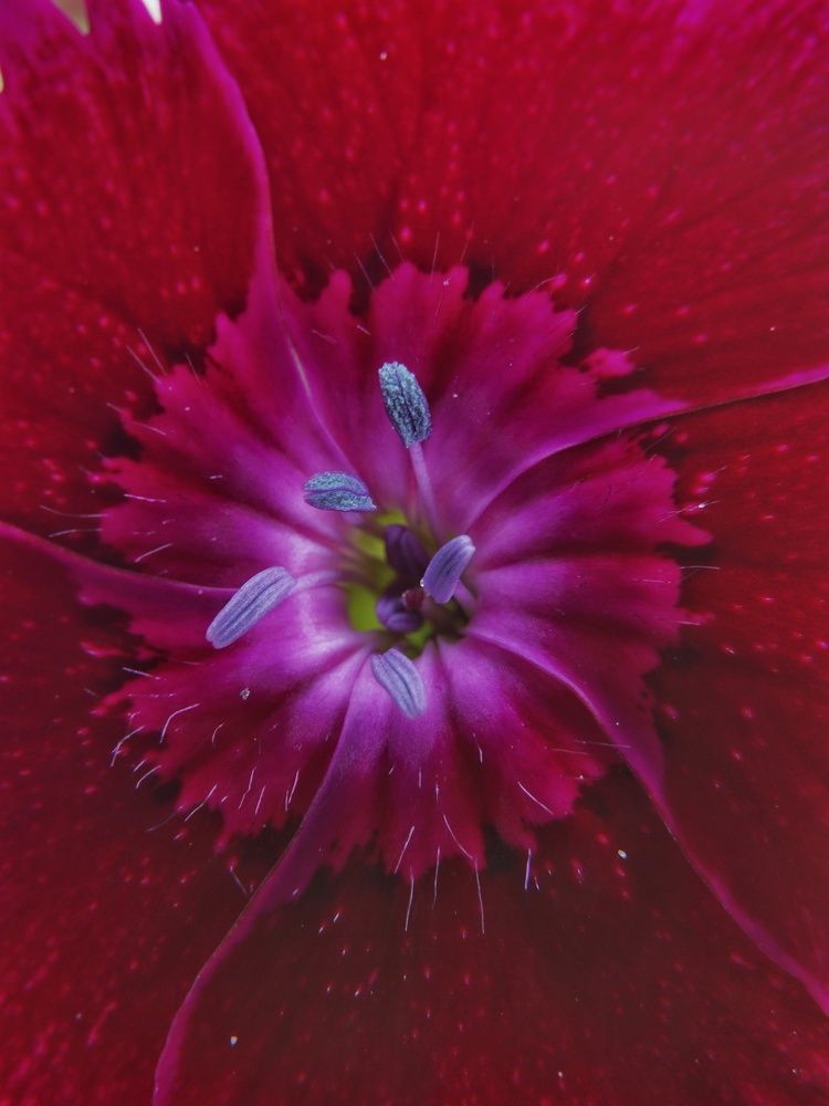 Photograph by Alexandr Klyuev