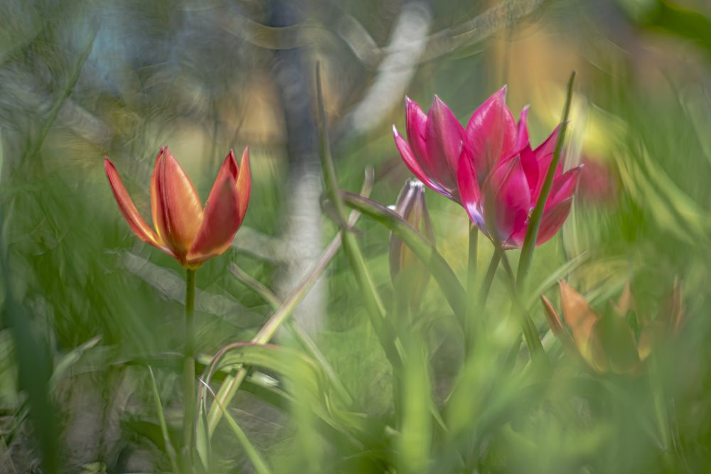 Photograph by Алексей Мякота