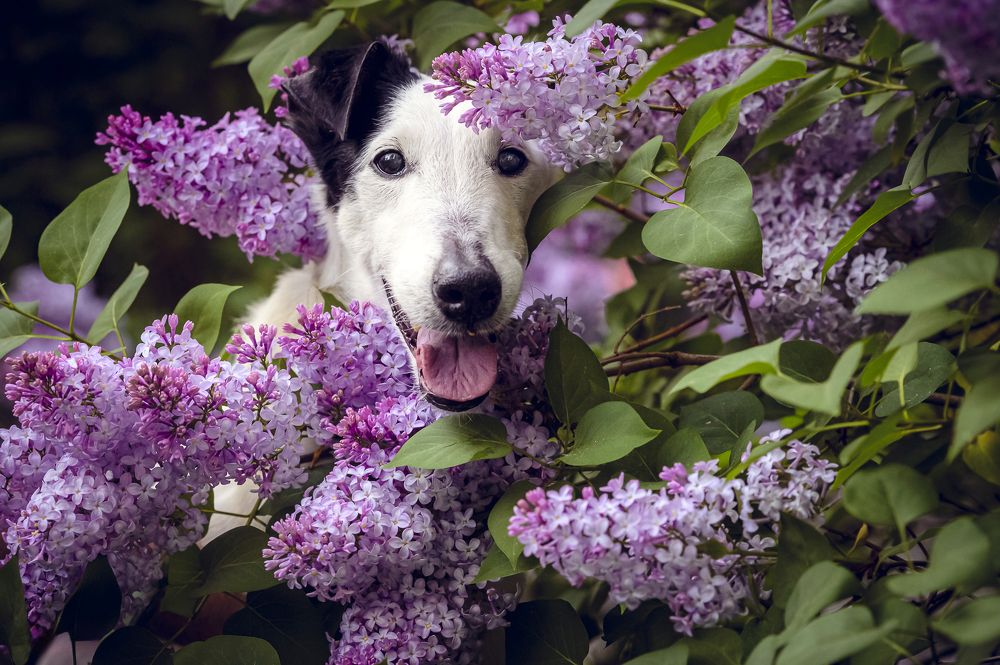 Photograph by Мария Новоселецкая