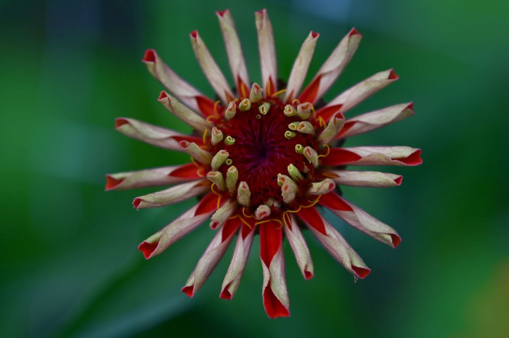 Photograph by Надежда Преминина