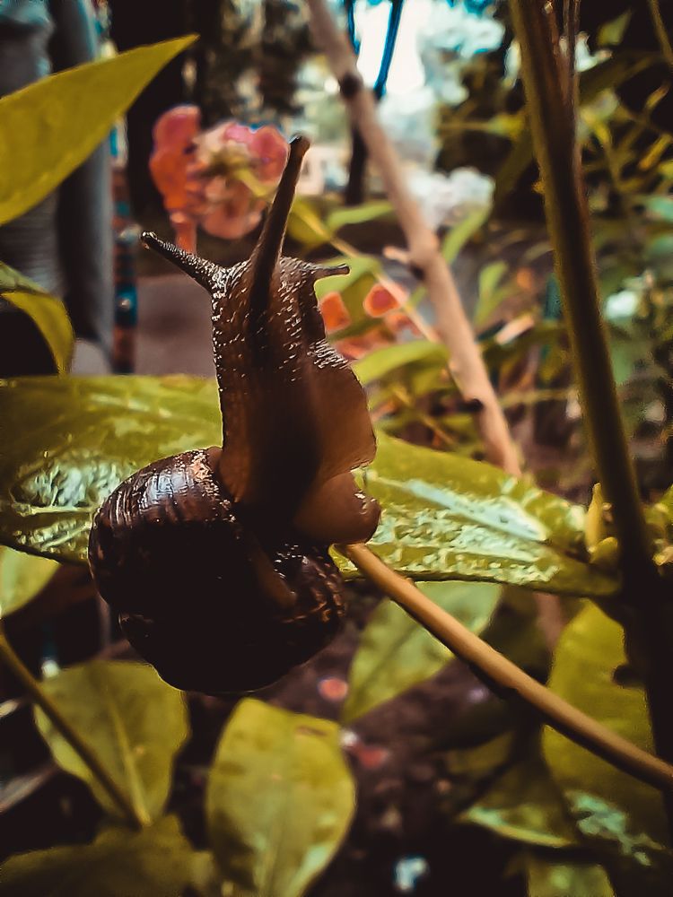 Photograph by Павел Агеев