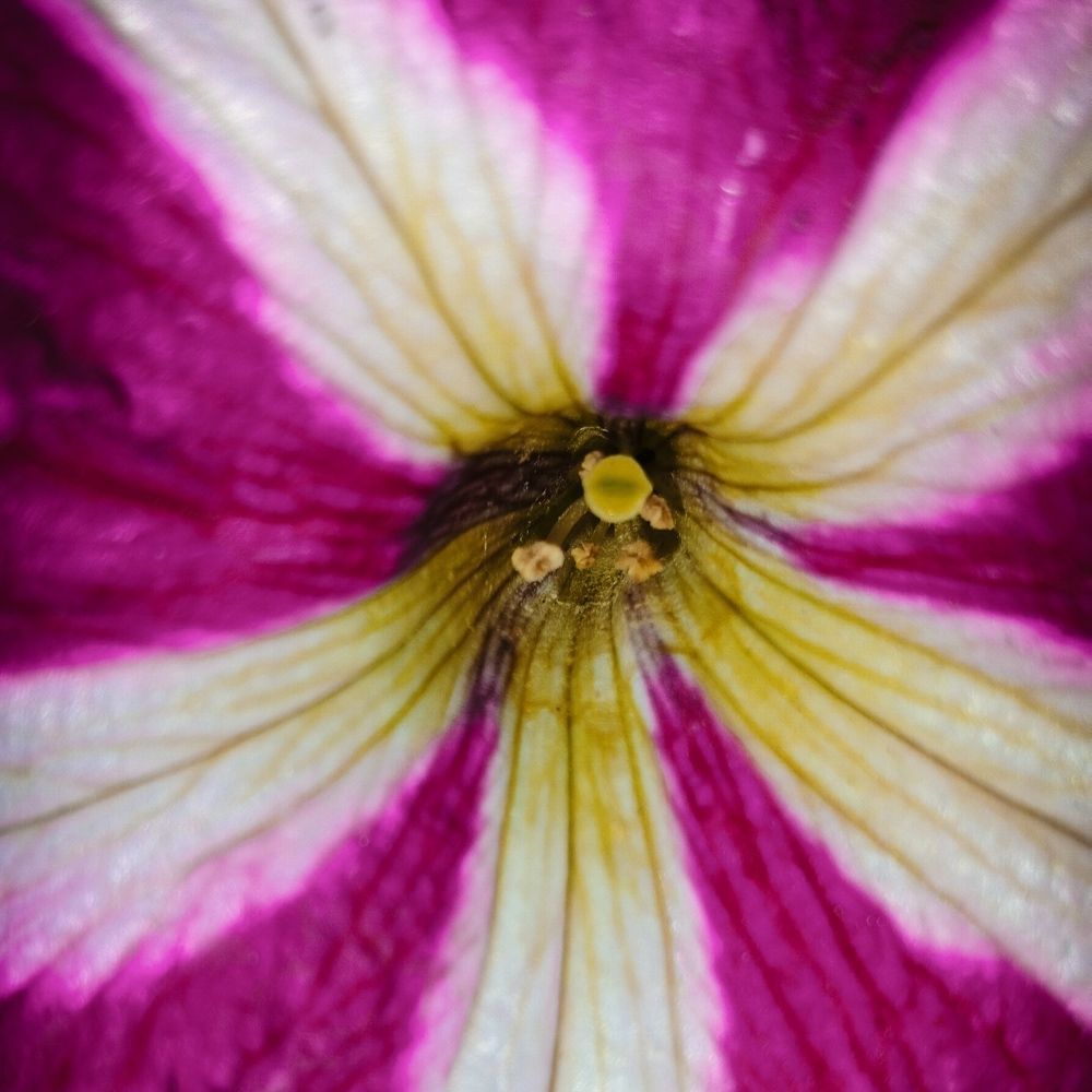 Photograph by fatemeh mohammadmosa
