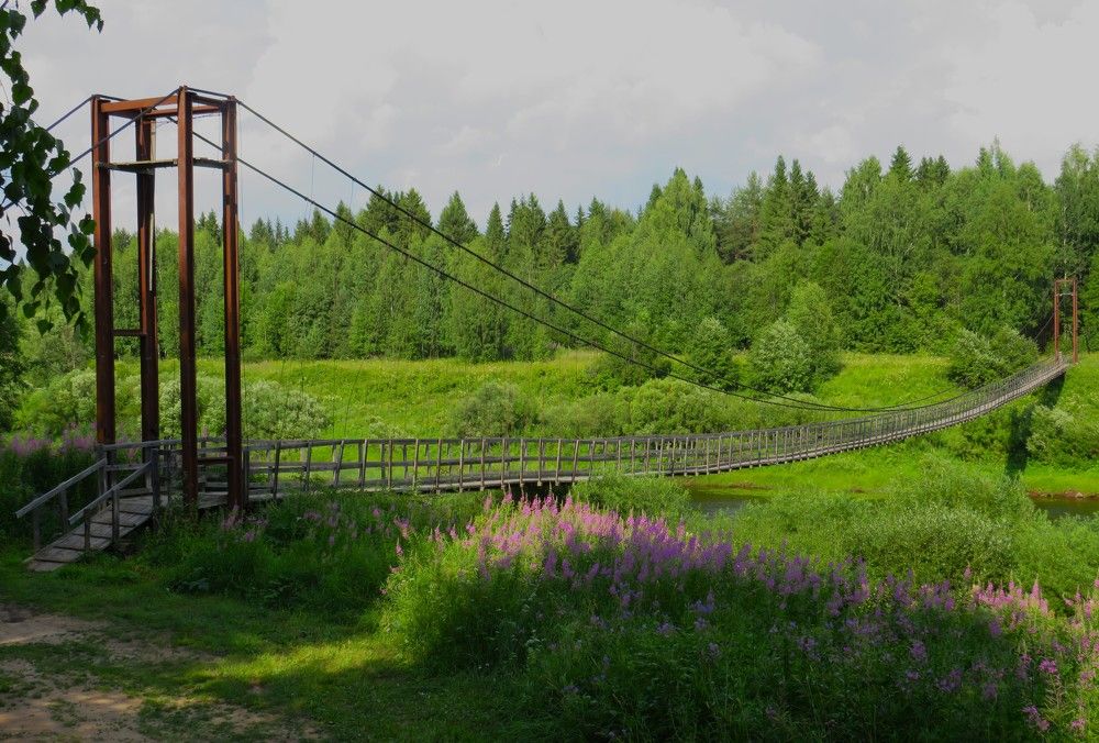 Photograph by Людмила Кононова