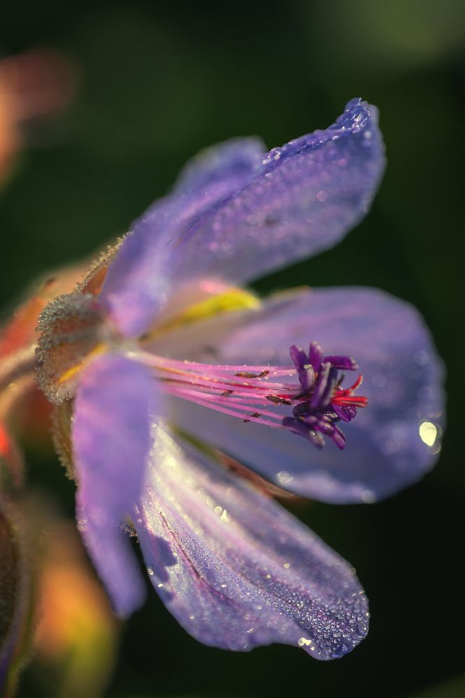 Photograph by Брытков Николай