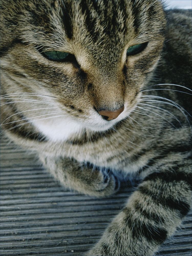 Photograph by Станислав Ситников