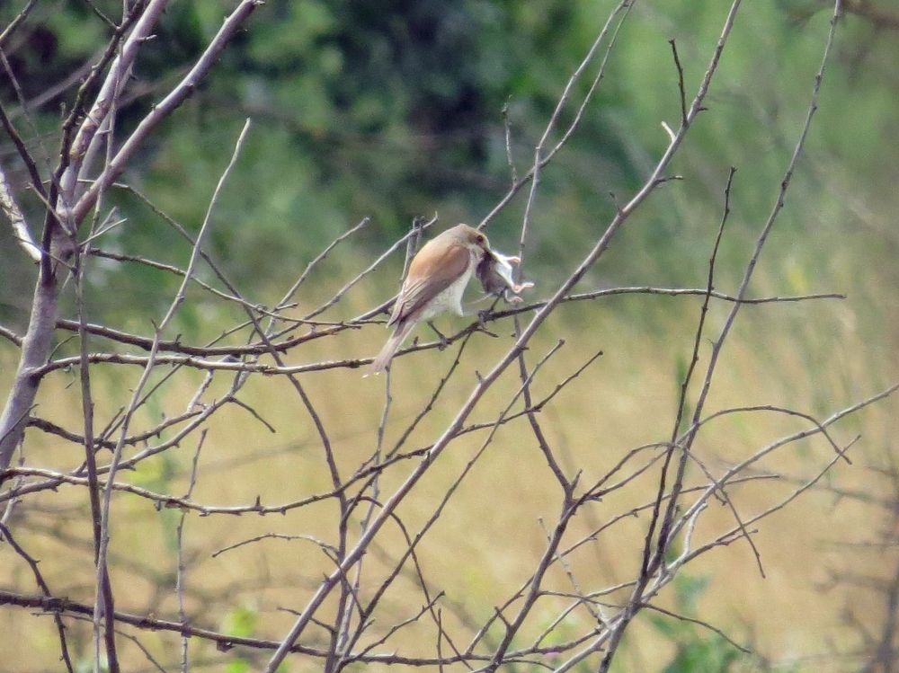 Photograph by Оксана Малахова