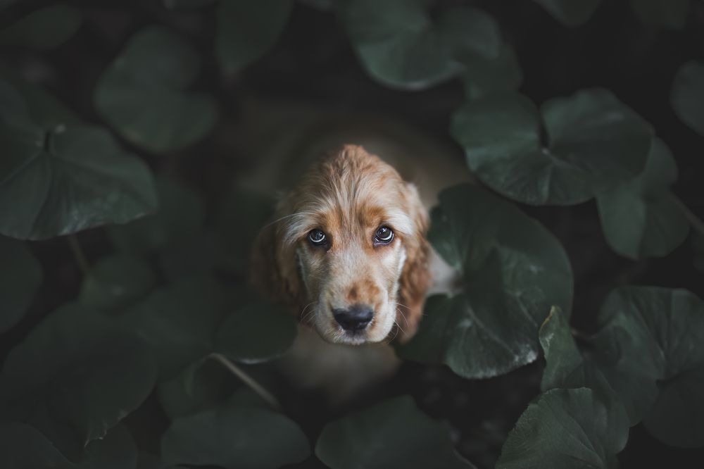 Photograph by GRISELDA FERNANDEZ