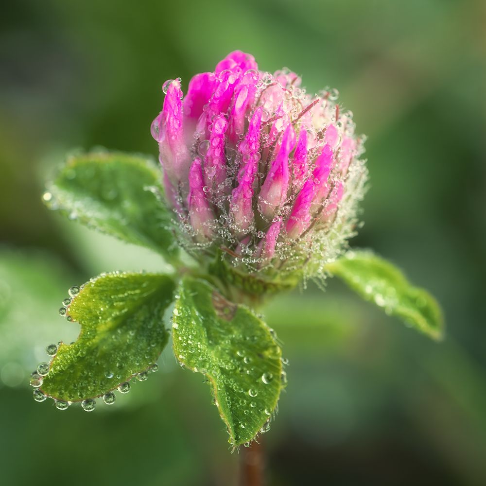 Photograph by Брытков Николай