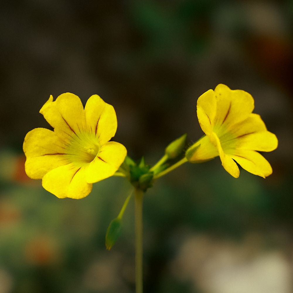 Photograph by ALPHY KR