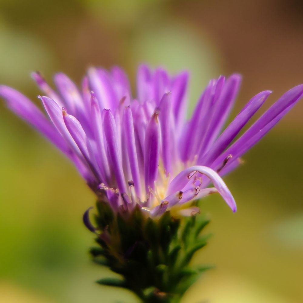 Photograph by ALPHY KR