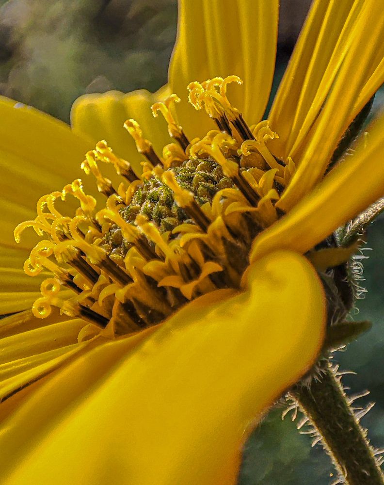 Фотография автора Александр Довганюк