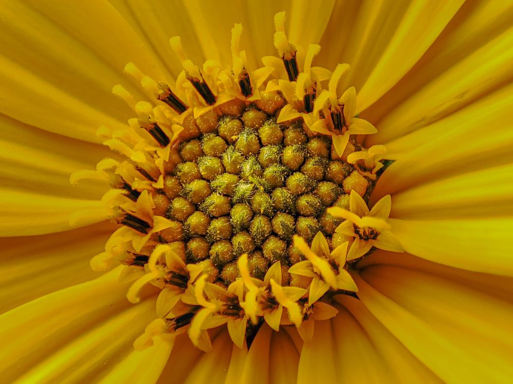 Фотография автора Александр Довганюк