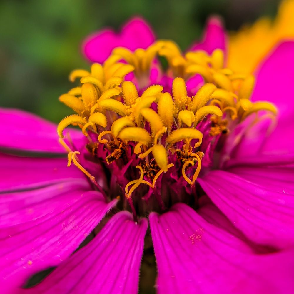 Photograph by ALPHY KR