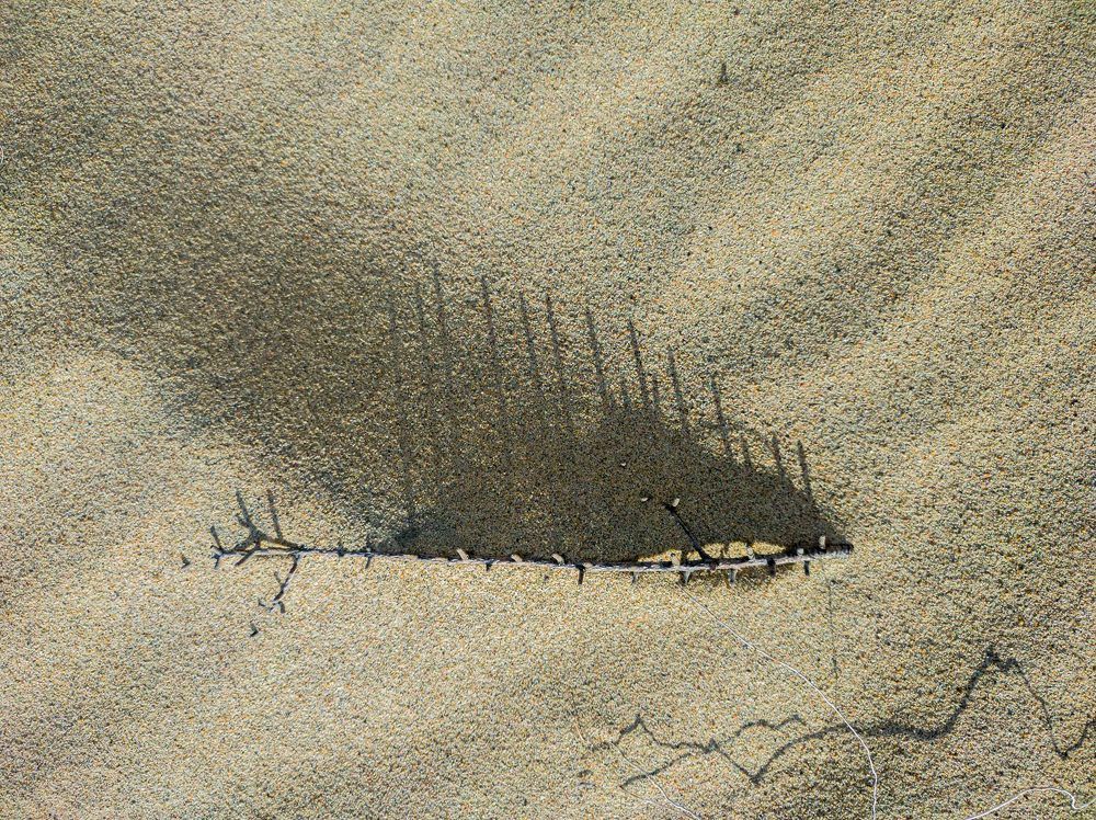 Фотография автора Александр Довганюк