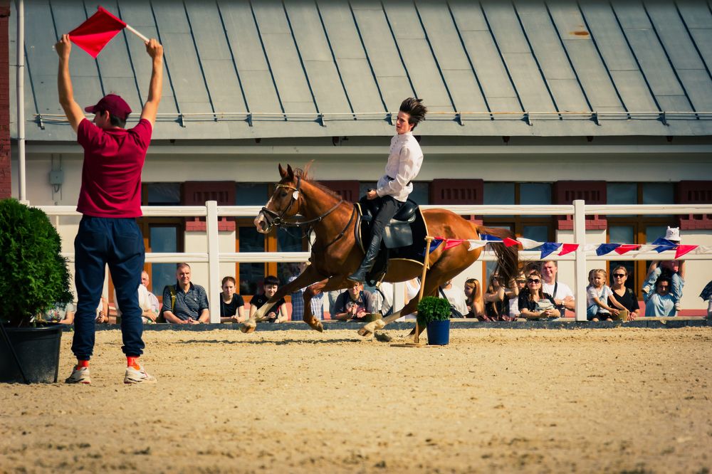 Photograph by Елена