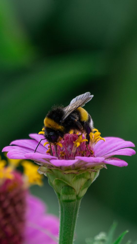 Фотография автора Владислав Белоус