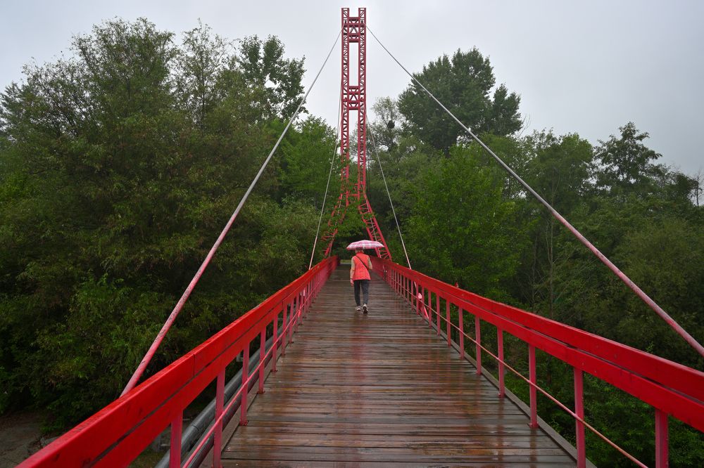 Фотография автора Дмитрий Referee