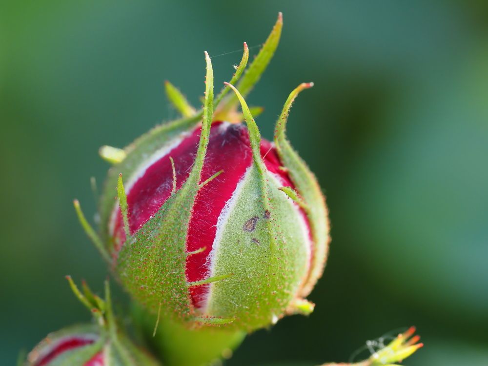 Photograph by Сергей Борисов