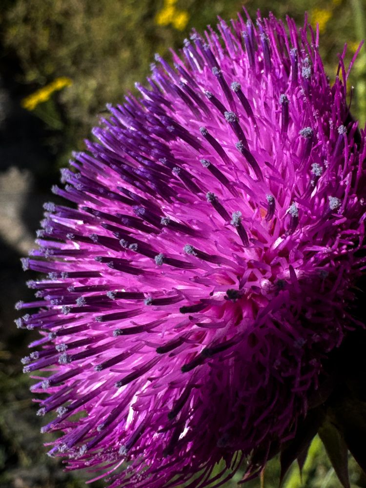 Photograph by Екатерина Слепнева