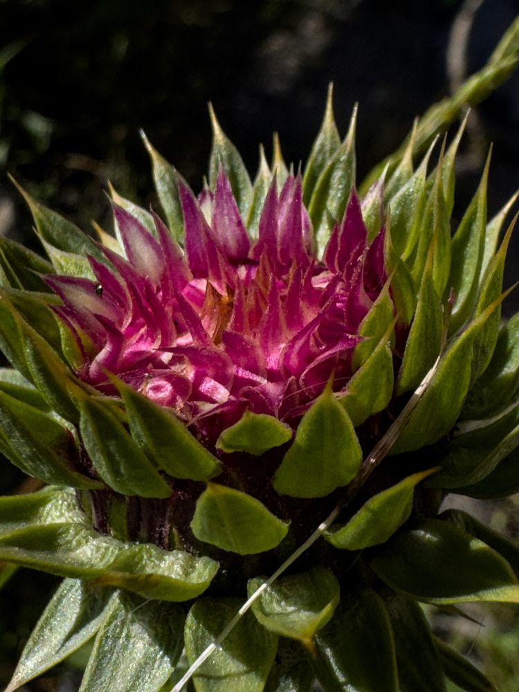 Photograph by Екатерина Слепнева