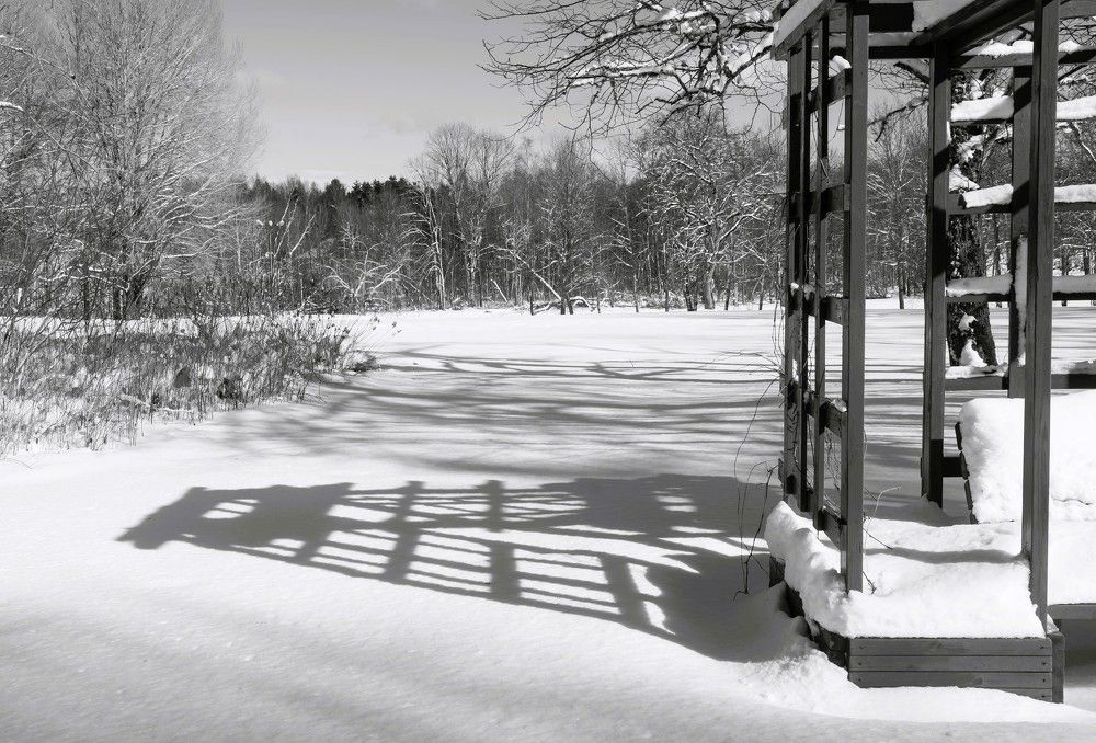 Photograph by Agita Leimane