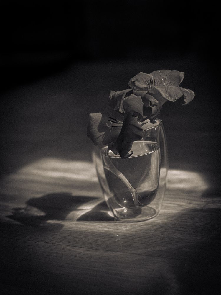 Photograph by Наталья Мэмэлигэ