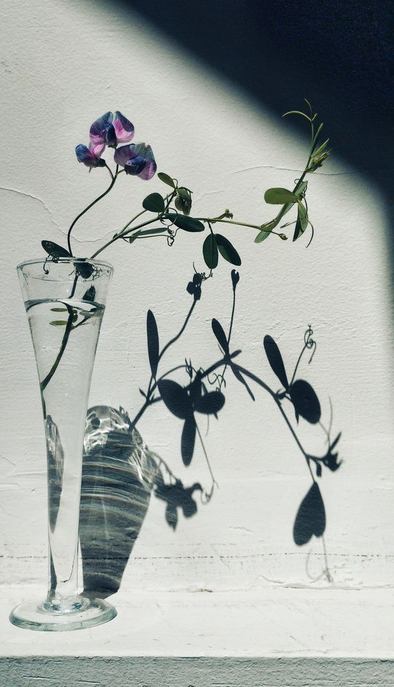 Photograph by Ольга Богорад