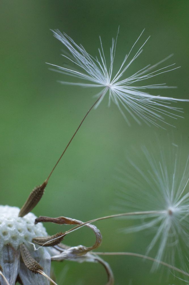 Photograph by Дарья Улюсова