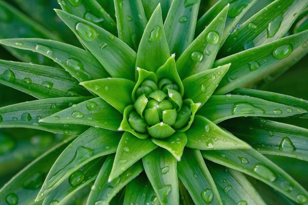 Photograph by Екатерина Топорова