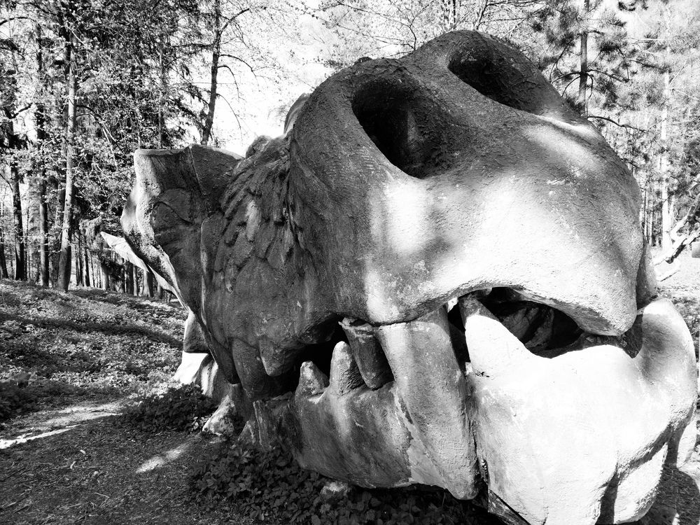 Photograph by Александр Алексеев