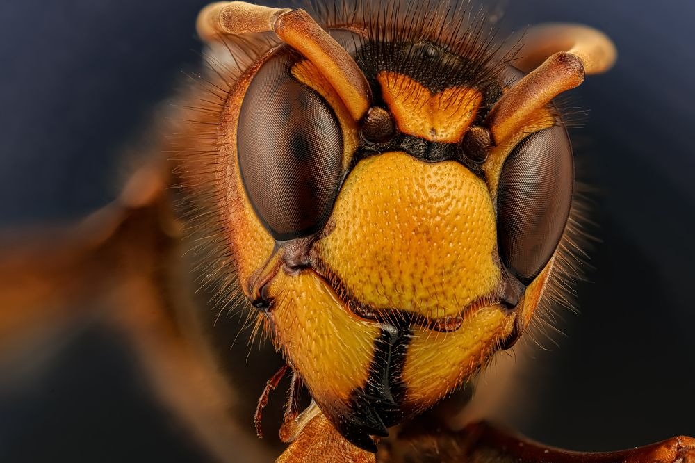 Photograph by Сергей Чупахин