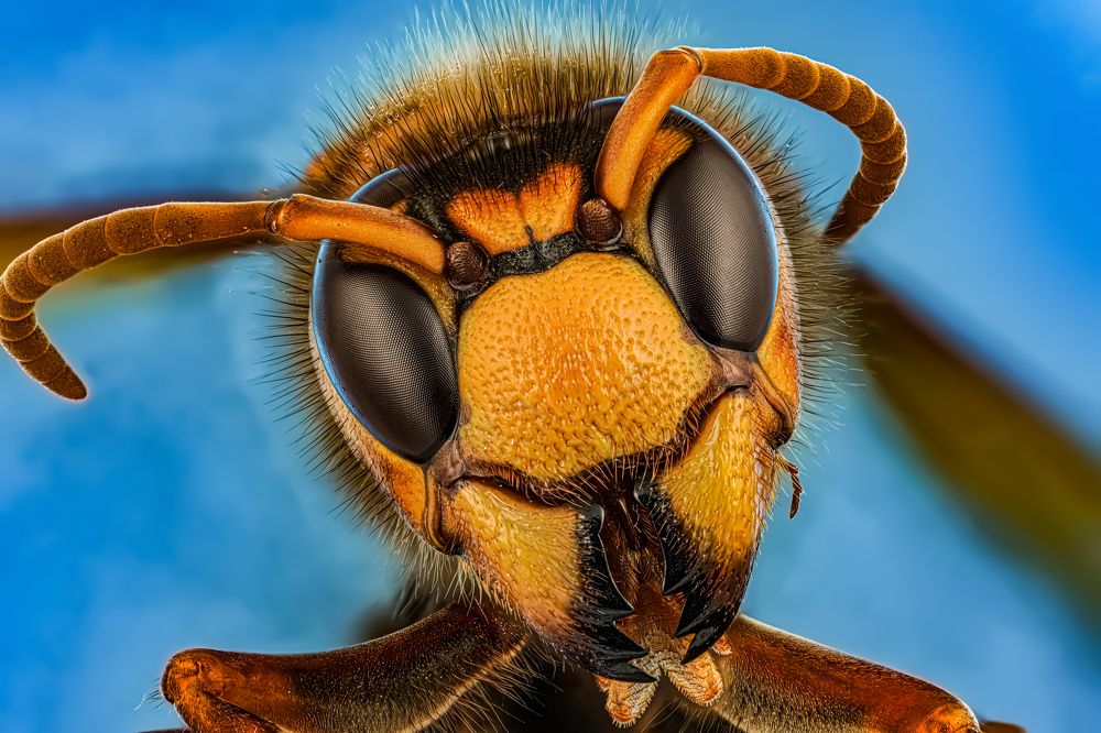 Photograph by Сергей Чупахин