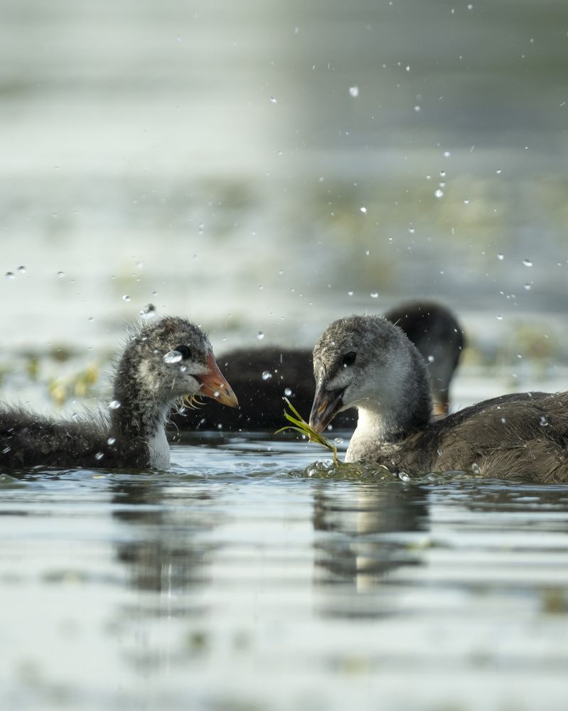 Фотография автора Сергей Затямин