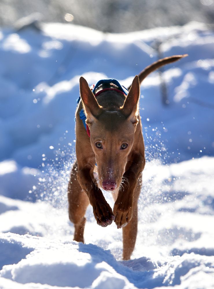 Photograph by Зоя Емельянова