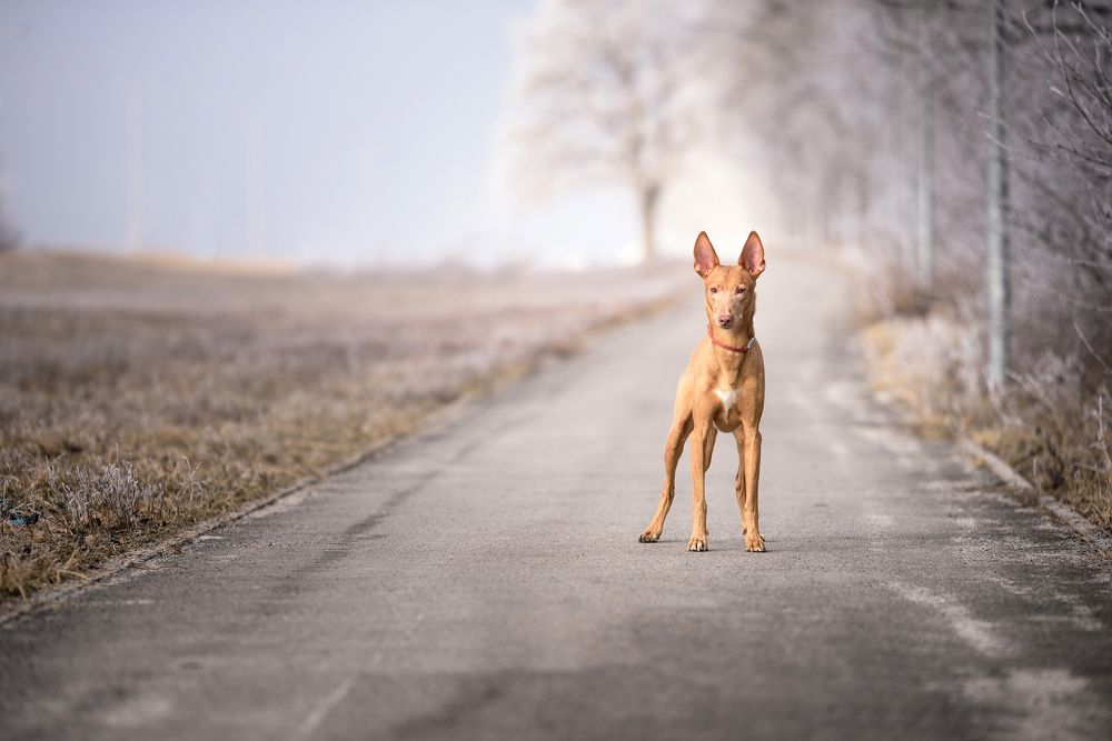 Photograph by Зоя Емельянова