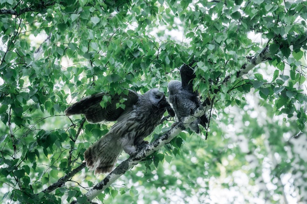 Photograph by Руслан Нигматуллин