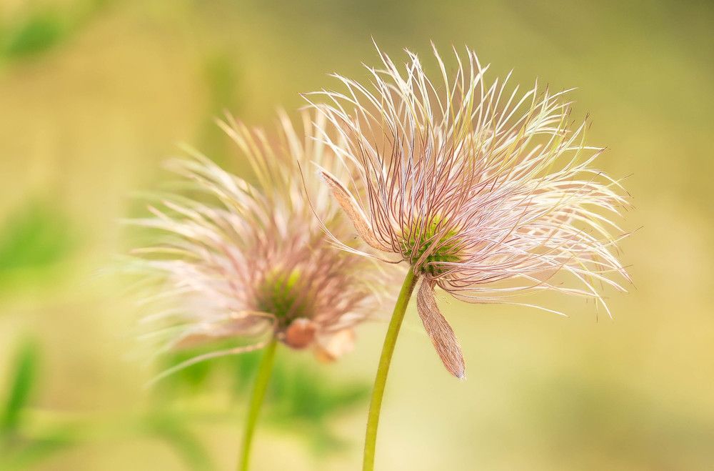 Photograph by Денис Гайдуков