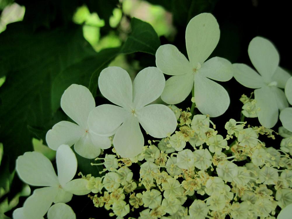 Photograph by Viktoriia Rusanova