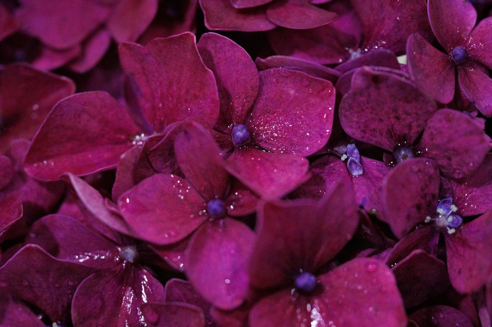 Photograph by Яна Нарбутович