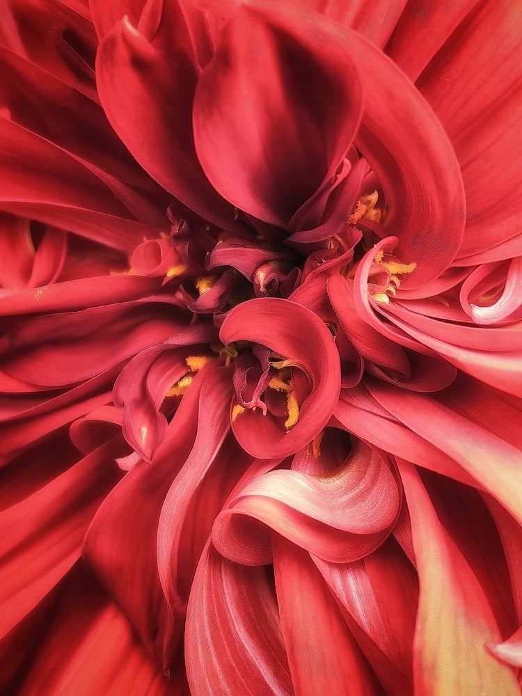 Photograph by Сергей Зайцев