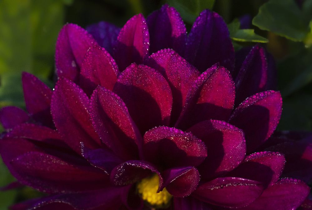 Фотография автора Галина