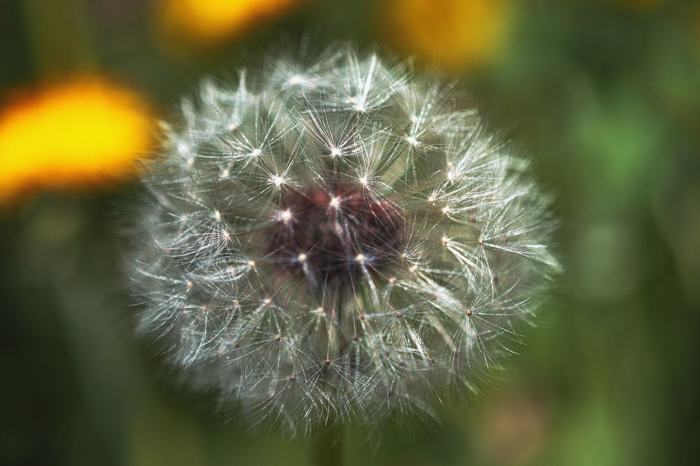 Фотография автора Андрей Жданов