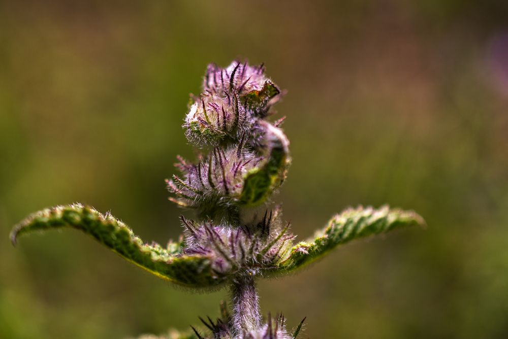 Фотография автора Андрей Жданов