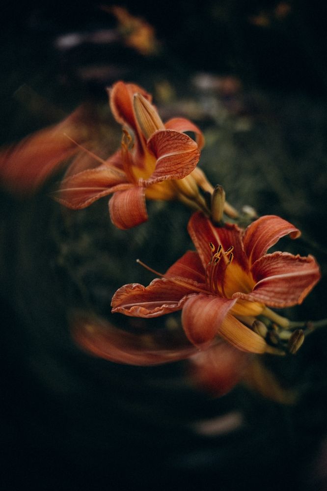 Photograph by Елена Подшевалова