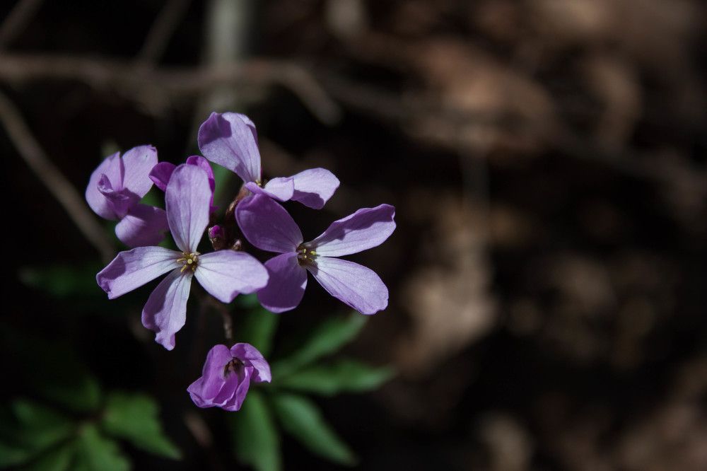 Photograph by Елена Казаренко