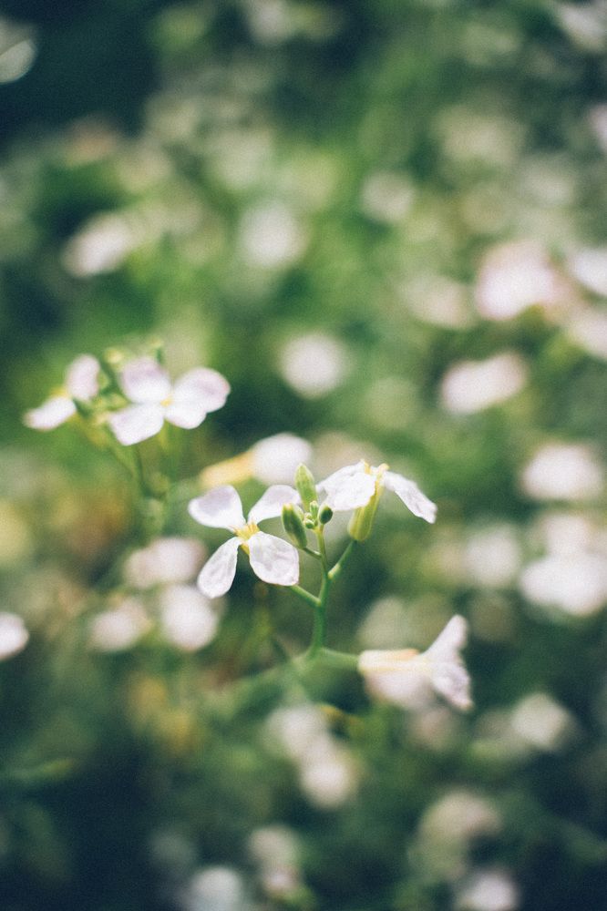 Photograph by Елена Подшевалова