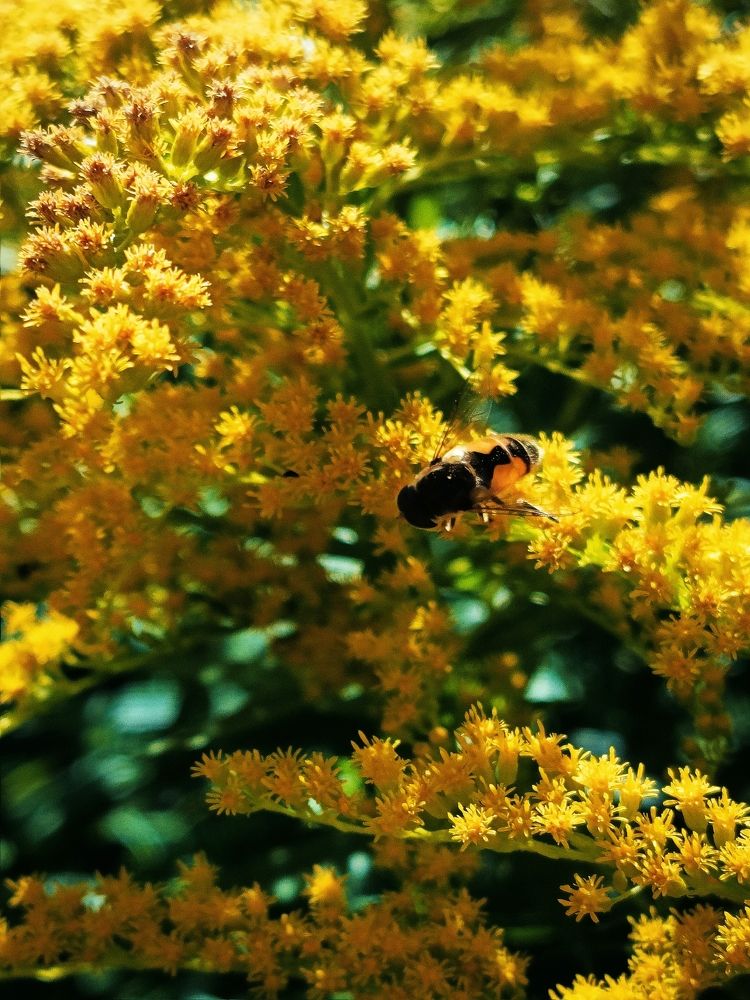 Photograph by Татьяна Бешенкина