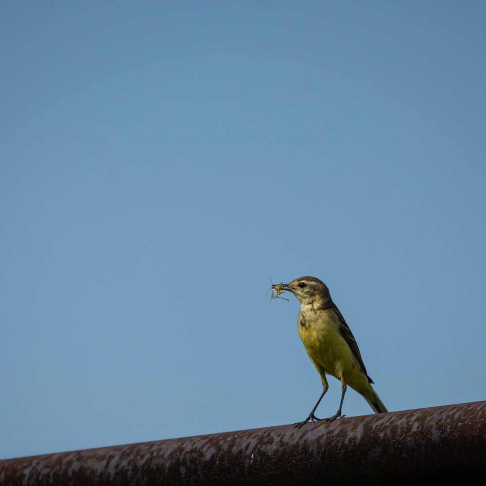 Фотография автора Владислав Белоус
