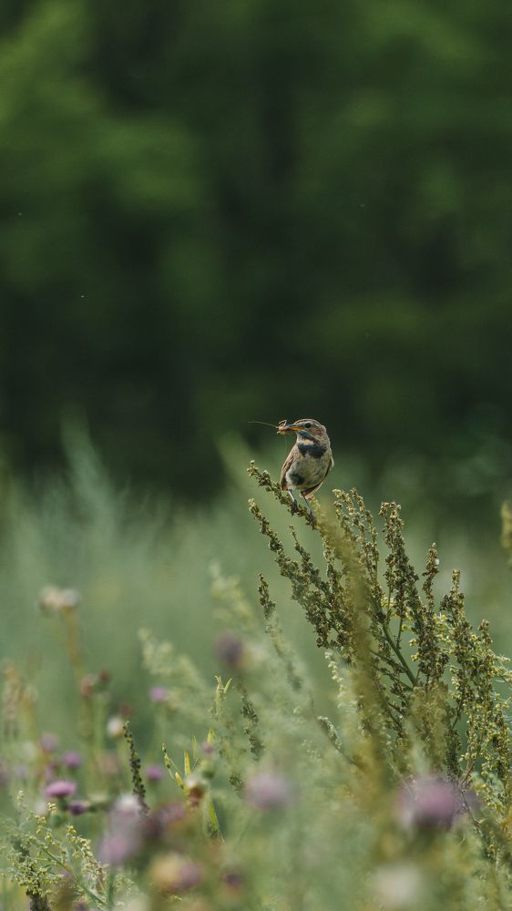Фотография автора Владислав Белоус